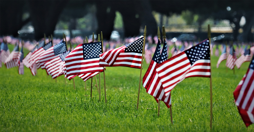 Small American Flags standing in green grass.