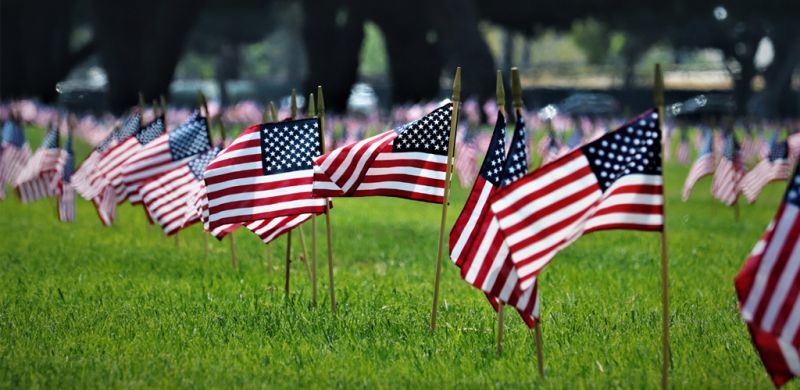 Small American Flags standing in green grass.